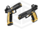Preview: LAUGO ARMS | Alien - Full Kit - Black Gold